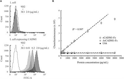 Urinary Cell Adhesion Molecule 1 Is a Novel Biomarker That Links Tubulointerstitial Damage to Glomerular Filtration Rates in Chronic Kidney Disease